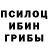 Псилоцибиновые грибы мухоморы Kirill Galeev