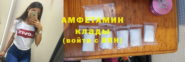молекула духа Волоколамск