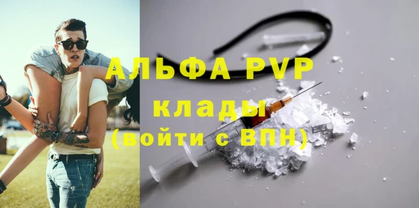 ПСИЛОЦИБИНОВЫЕ ГРИБЫ Волосово