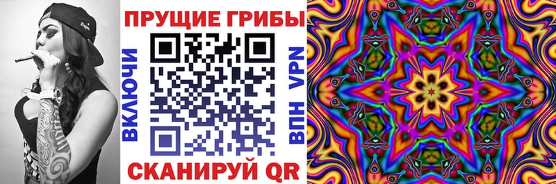 ссылка на мегу зеркало  где продают наркотики  Шарья  Галлюциногенные грибы ЛСД 