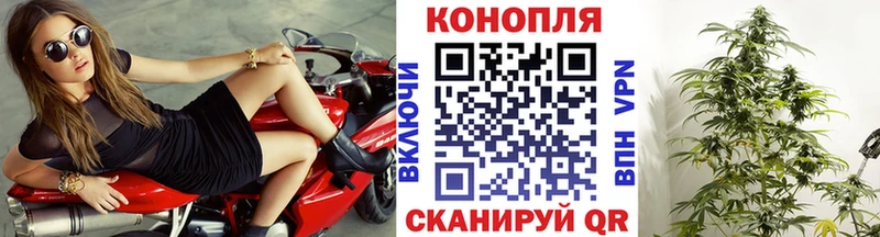 где можно купить   Шарья  Шишки марихуана сатива 